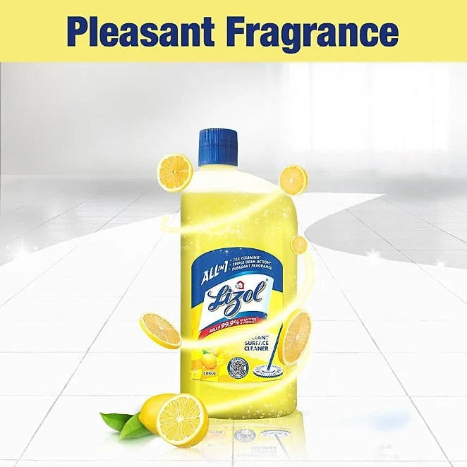 Lizol Concentrated Floor Cleaner