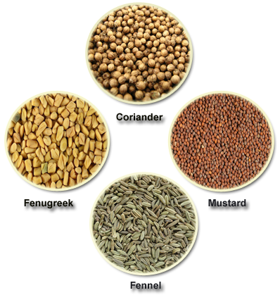 Seed & Spices