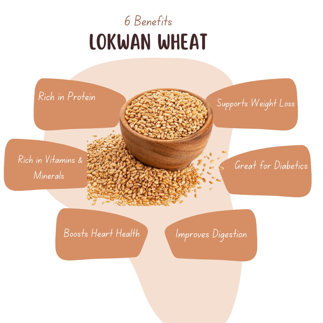 VFPL Lokhwan Wheat 5 kg