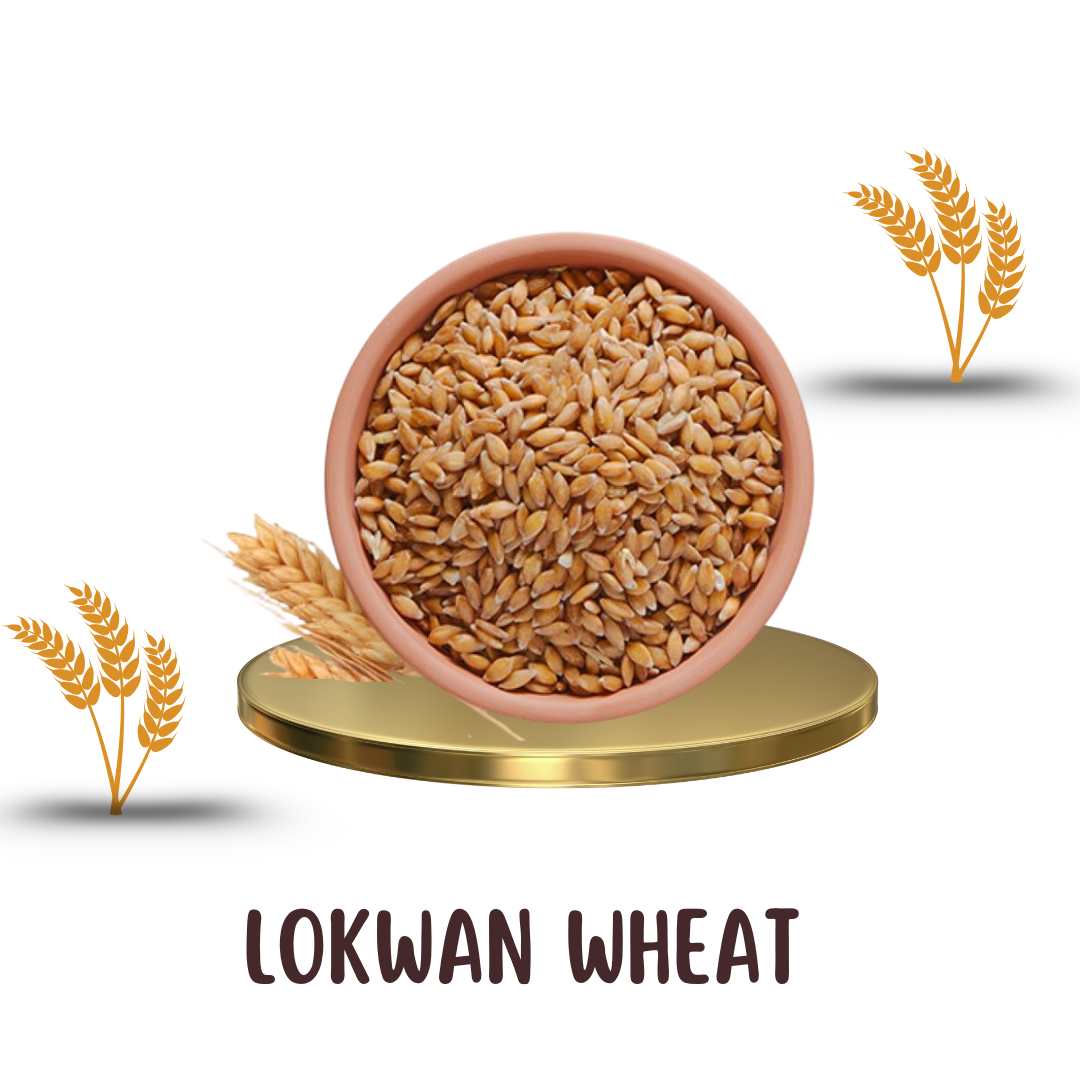 VFPL Lokhwan Wheat 5 kg