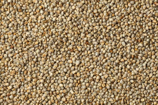 VFPL Bajra 500g