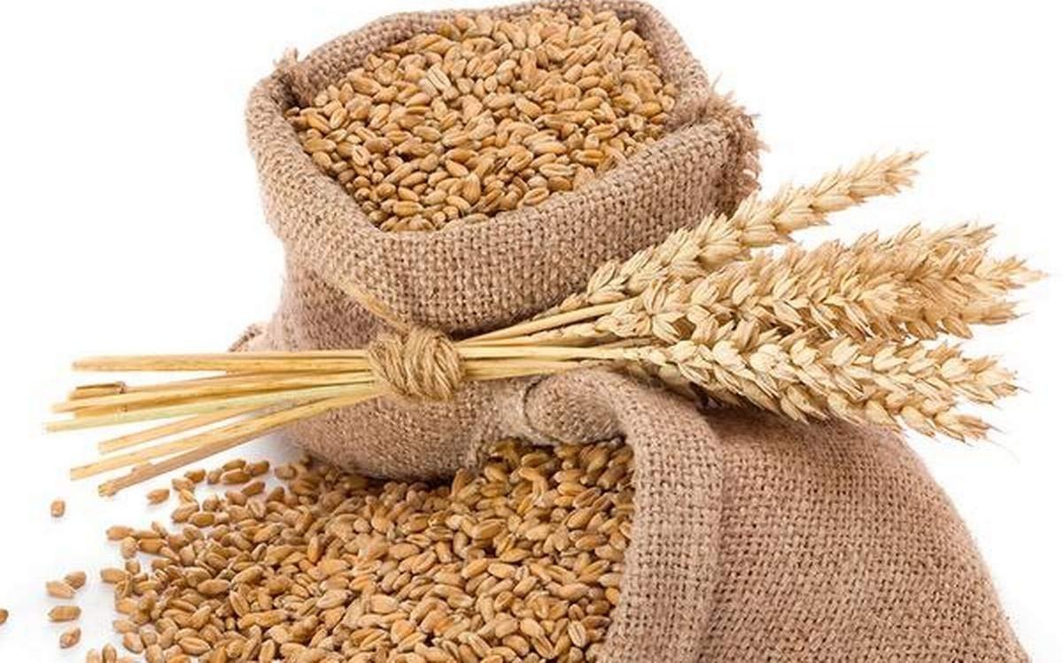 VFPL Rumali Wheat 5kg